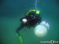 scuba diving photo