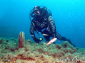 scuba diving photo