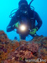 scuba diving photo