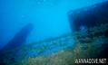 scuba diving photo