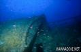 scuba diving photo