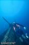 scuba diving photo