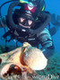 scuba diving photo