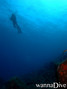 scuba diving photo