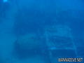 scuba diving photo