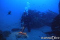 scuba diving photo