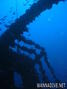 scuba diving photo