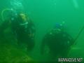 scuba diving photo