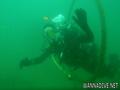 scuba diving photo