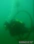 scuba diving photo