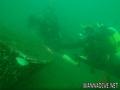 scuba diving photo