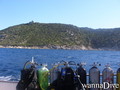 scuba diving photo