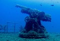 scuba diving photo