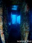scuba diving photo