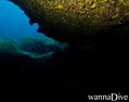 scuba diving photo