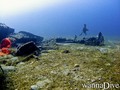 scuba diving photo