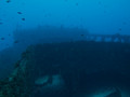 scuba diving photo