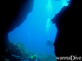 scuba diving photo