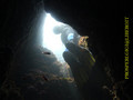 scuba diving photo