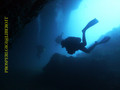 scuba diving photo