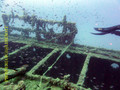 scuba diving photo