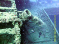 scuba diving photo