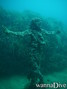 scuba diving photo