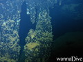 scuba diving photo