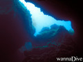 scuba diving photo