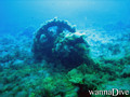 scuba diving photo