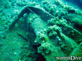 scuba diving photo