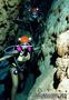 scuba diving photo