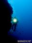 scuba diving photo