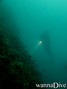 scuba diving photo