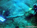 scuba diving photo