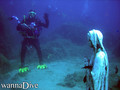 scuba diving photo