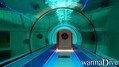 scuba diving photo