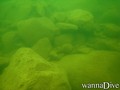 scuba diving photo