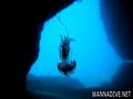 scuba diving photo