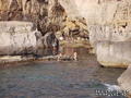 scuba diving photo