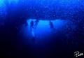 scuba diving photo