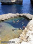 scuba diving photo