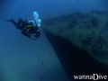 scuba diving photo