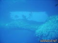 scuba diving photo