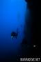 scuba diving photo