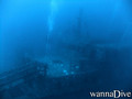 scuba diving photo