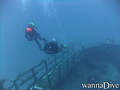 scuba diving photo