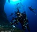 scuba diving photo