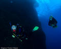 scuba diving photo