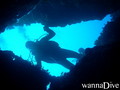 scuba diving photo